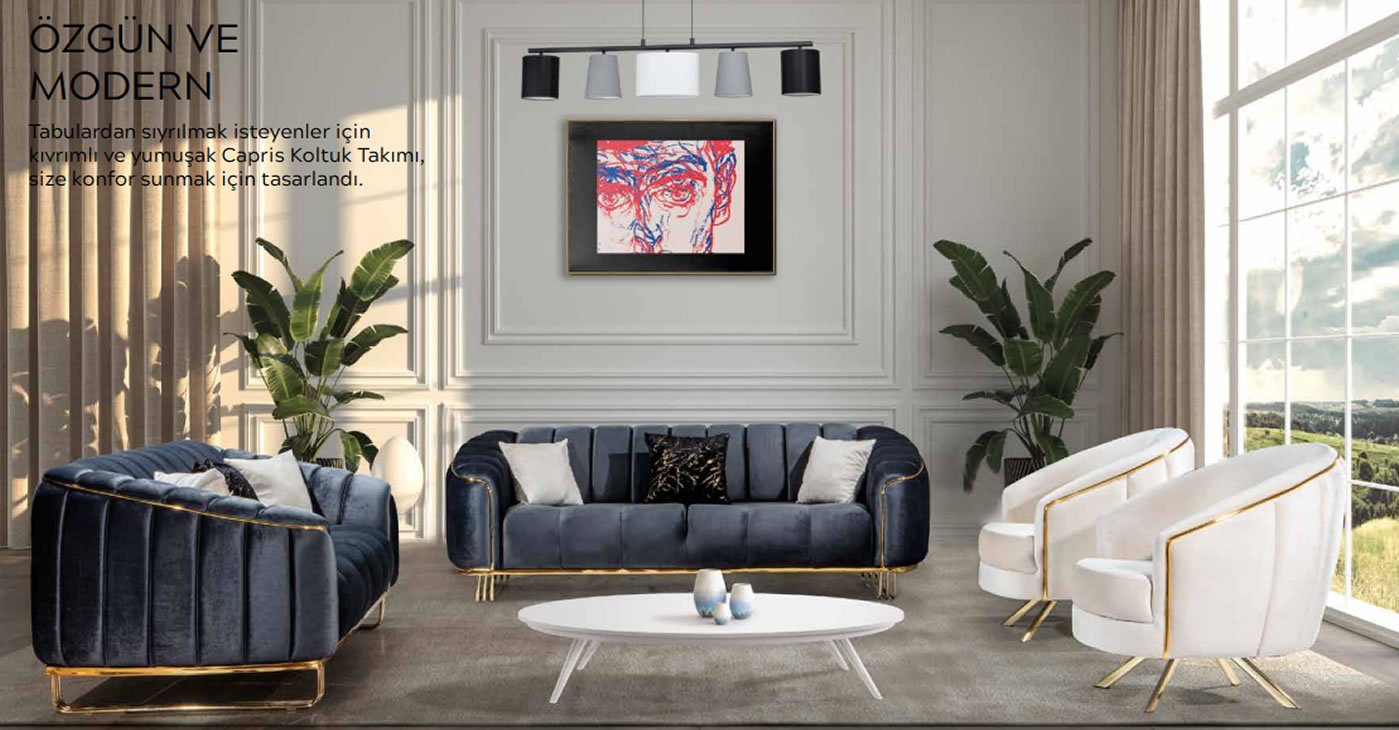 Ankara Koltuk Takımı